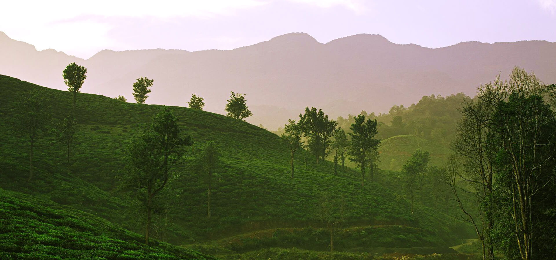 wayanad-slide-003